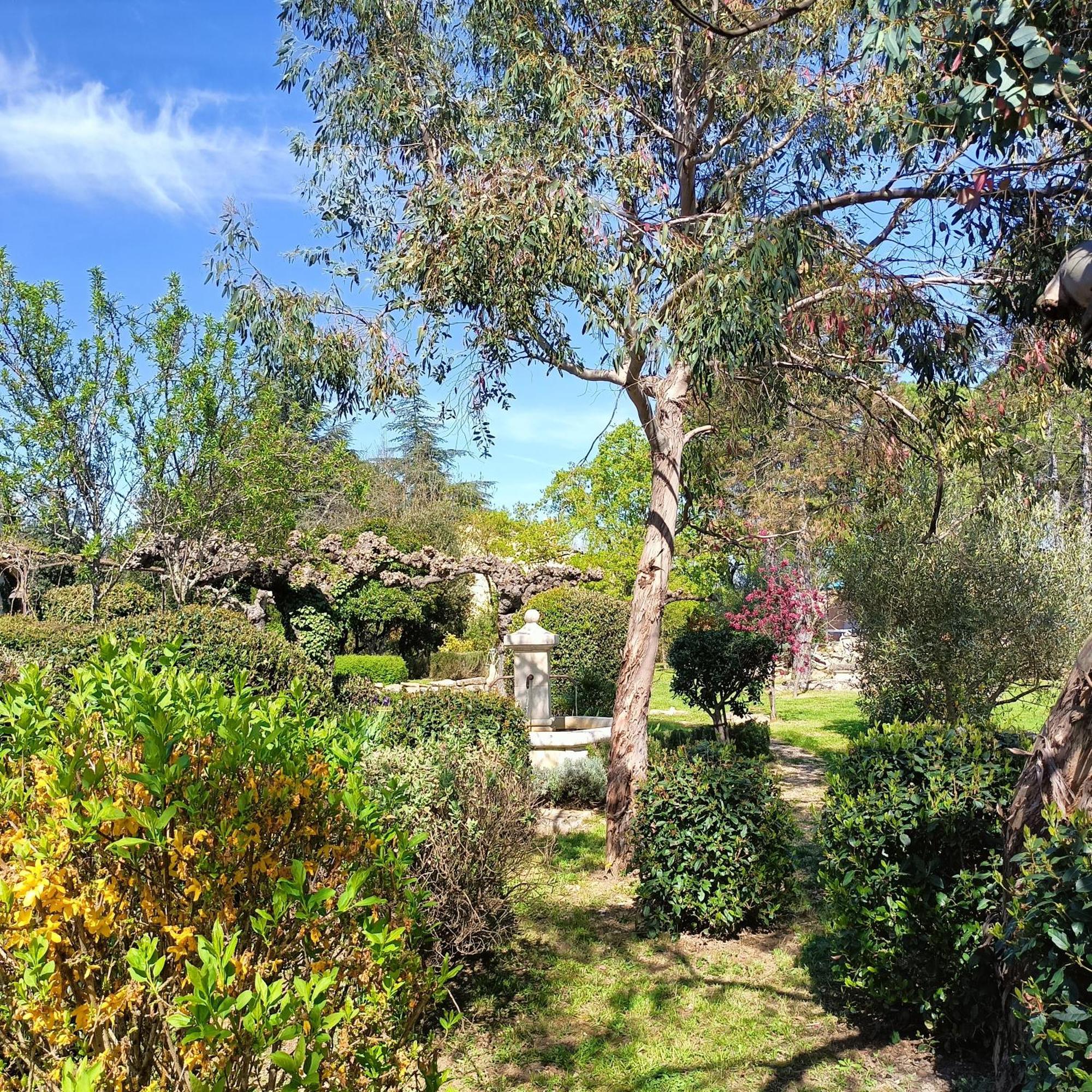הוילה Chandolas L'Arbre Du Magnan מראה חיצוני תמונה